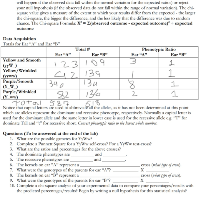 Mendelian genetics of corn kit answers