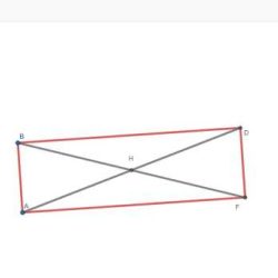 Rectangles rhombuses and squares worksheet