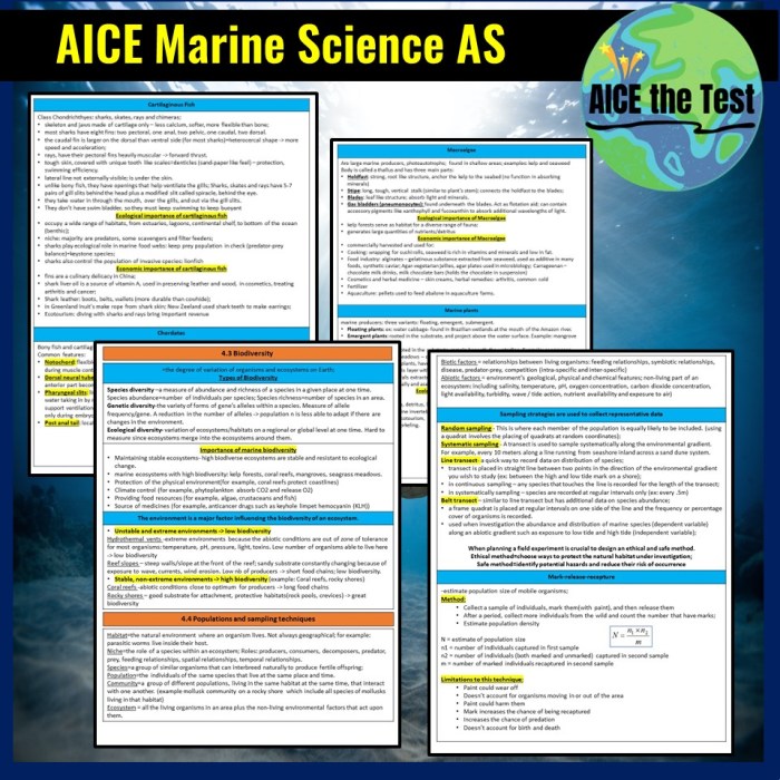 Aice marine science study guide