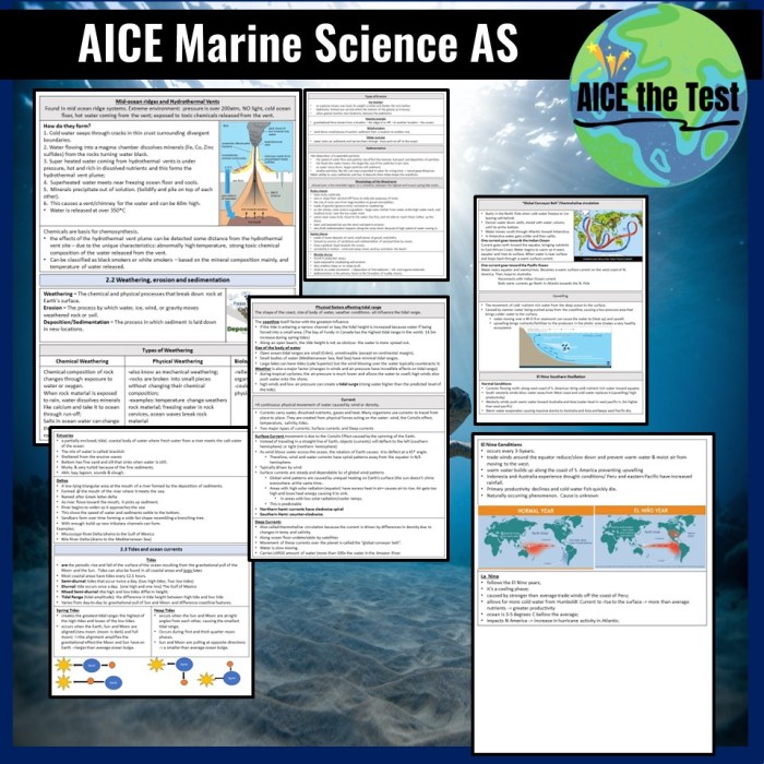 Aice marine science study guide