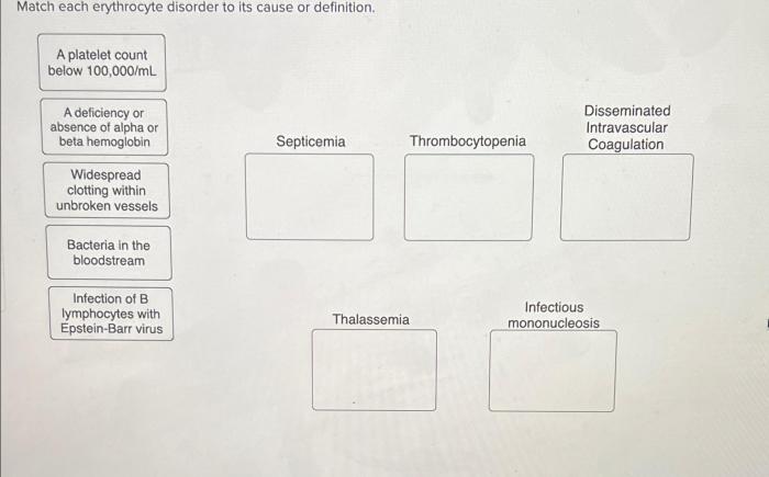 Disorders erythrocytes