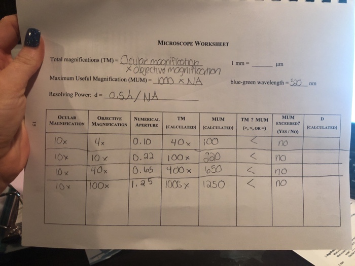 Calculating field of view microscope worksheet