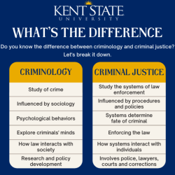 Fundamentals of research in criminology and criminal justice