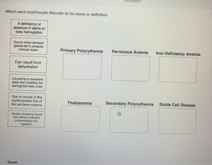 Match each erythrocyte disorder to its cause or definition