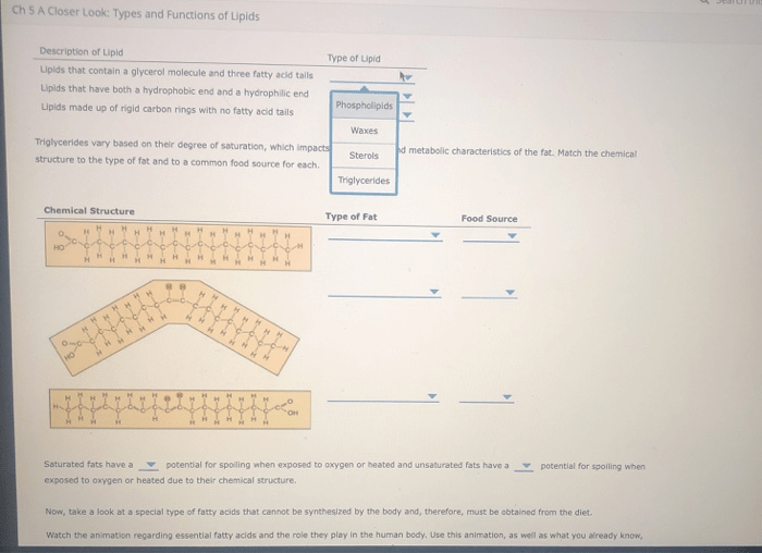 Ch 5 a closer look types and functions of lipids