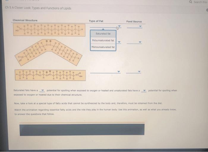 Ch 5 a closer look types and functions of lipids