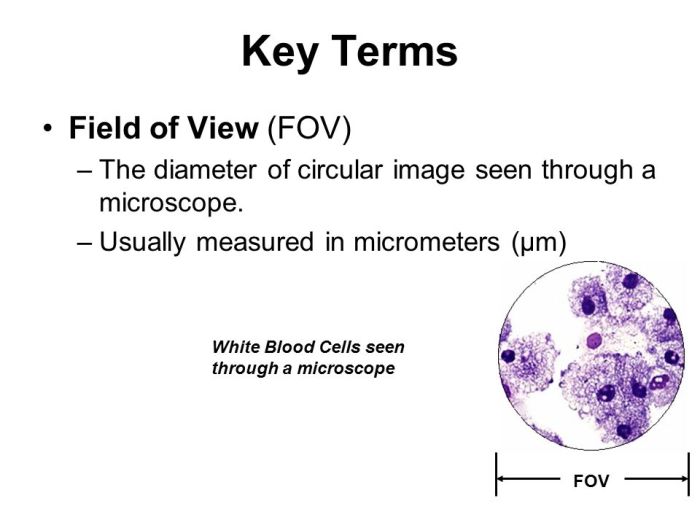 Calculating field of view microscope worksheet