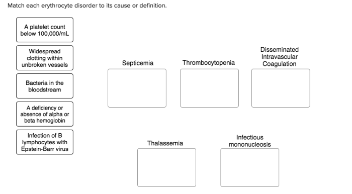 Match each erythrocyte disorder to its cause or definition