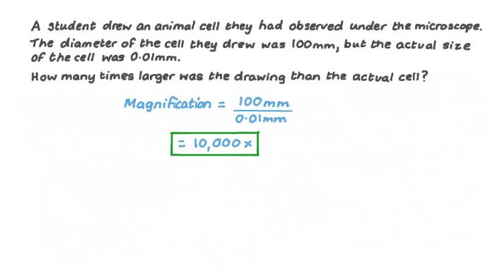 Calculating field of view microscope worksheet